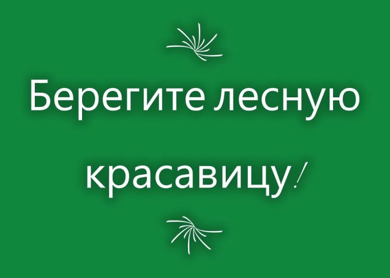 "Берегите лесную красавицу".