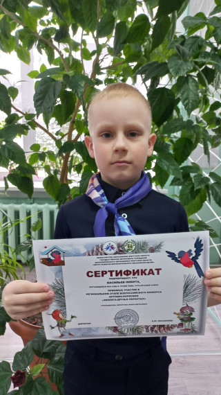 Всероссийский конкурс игрушек-кормушек «Эколята – друзья пернатых».